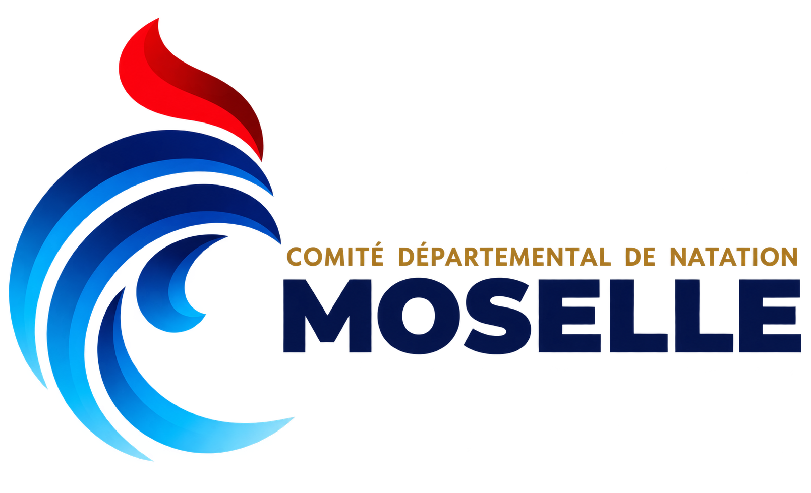 Accueil
