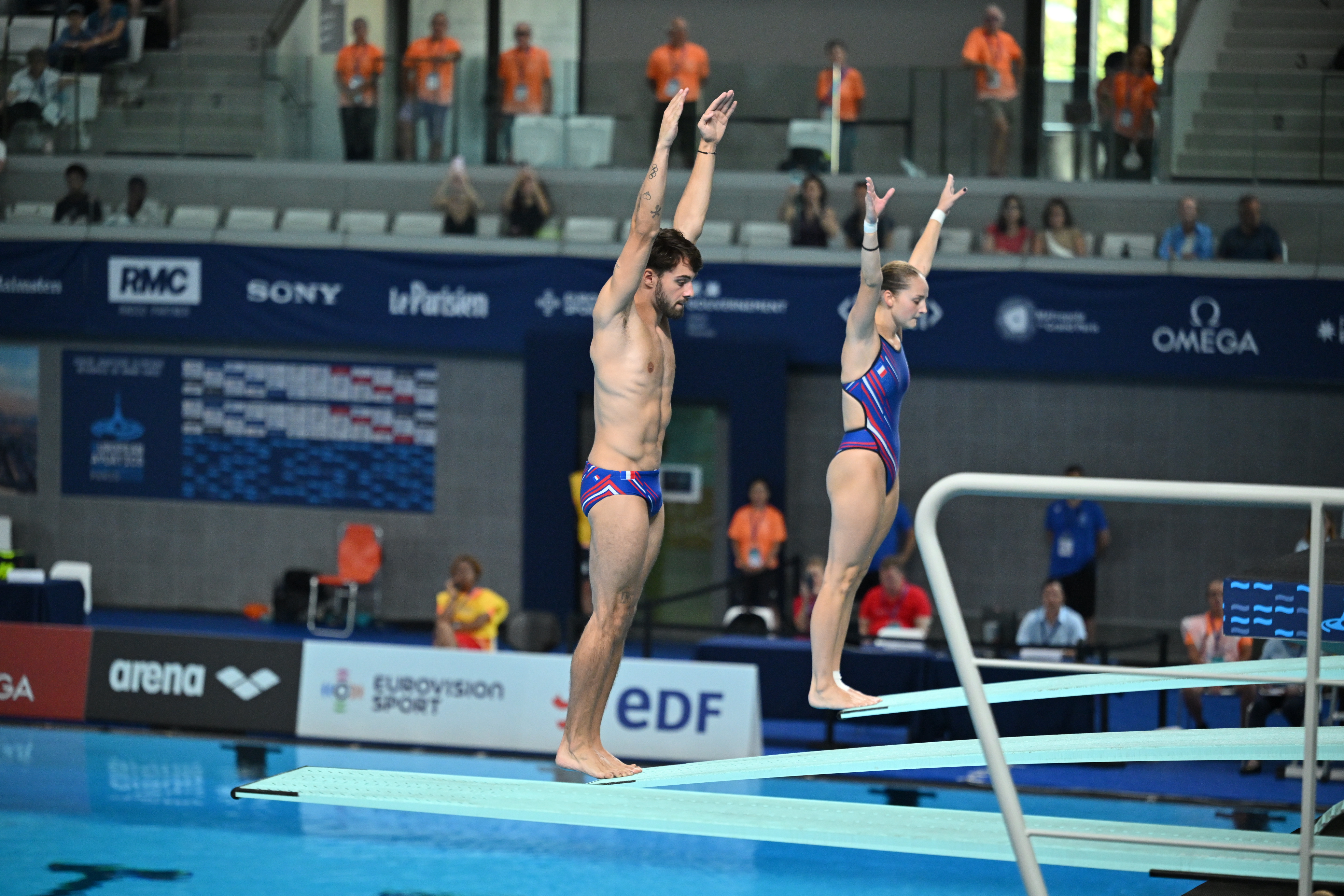 plongeon