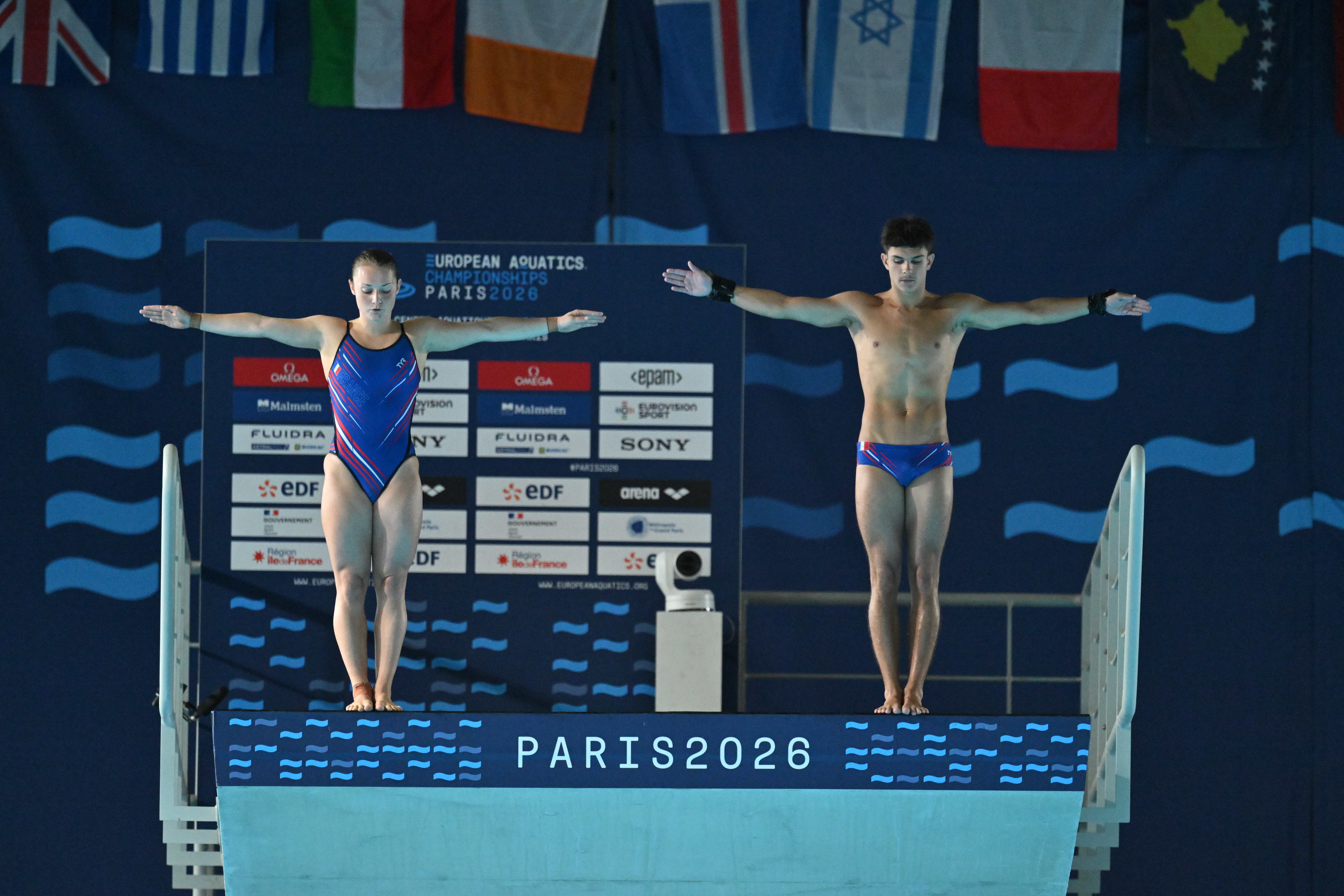 plongeon