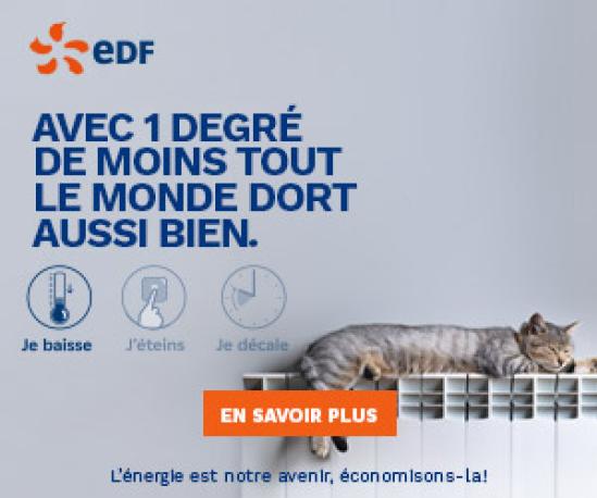 bannière EDF